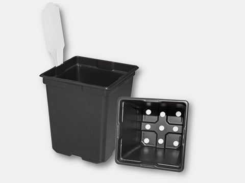 700098C-Square-Pot