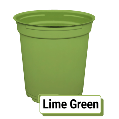 TOP-Colors_Lime-Green-Round