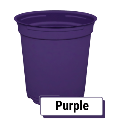 TOP-Colors_Purple-Round