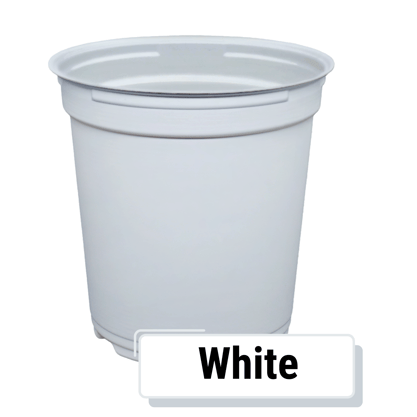TOP-Colors_White-Round