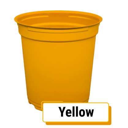 TOP-Colors_Yellow-Round