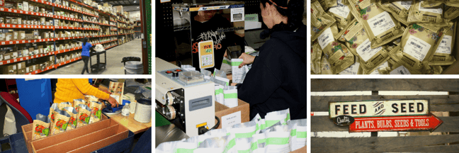 True Leaf Market2