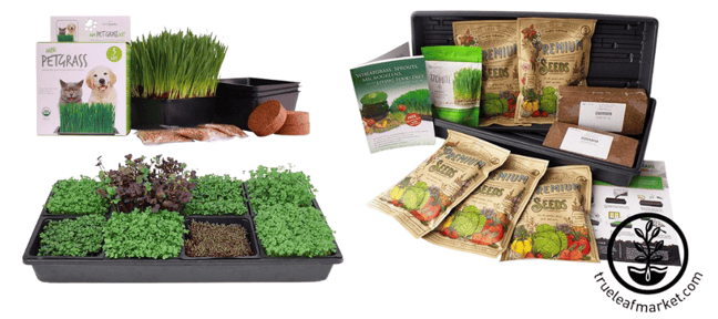 True Leaf Market4-Growing Kits