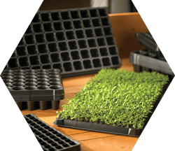 feature-horticulture-2