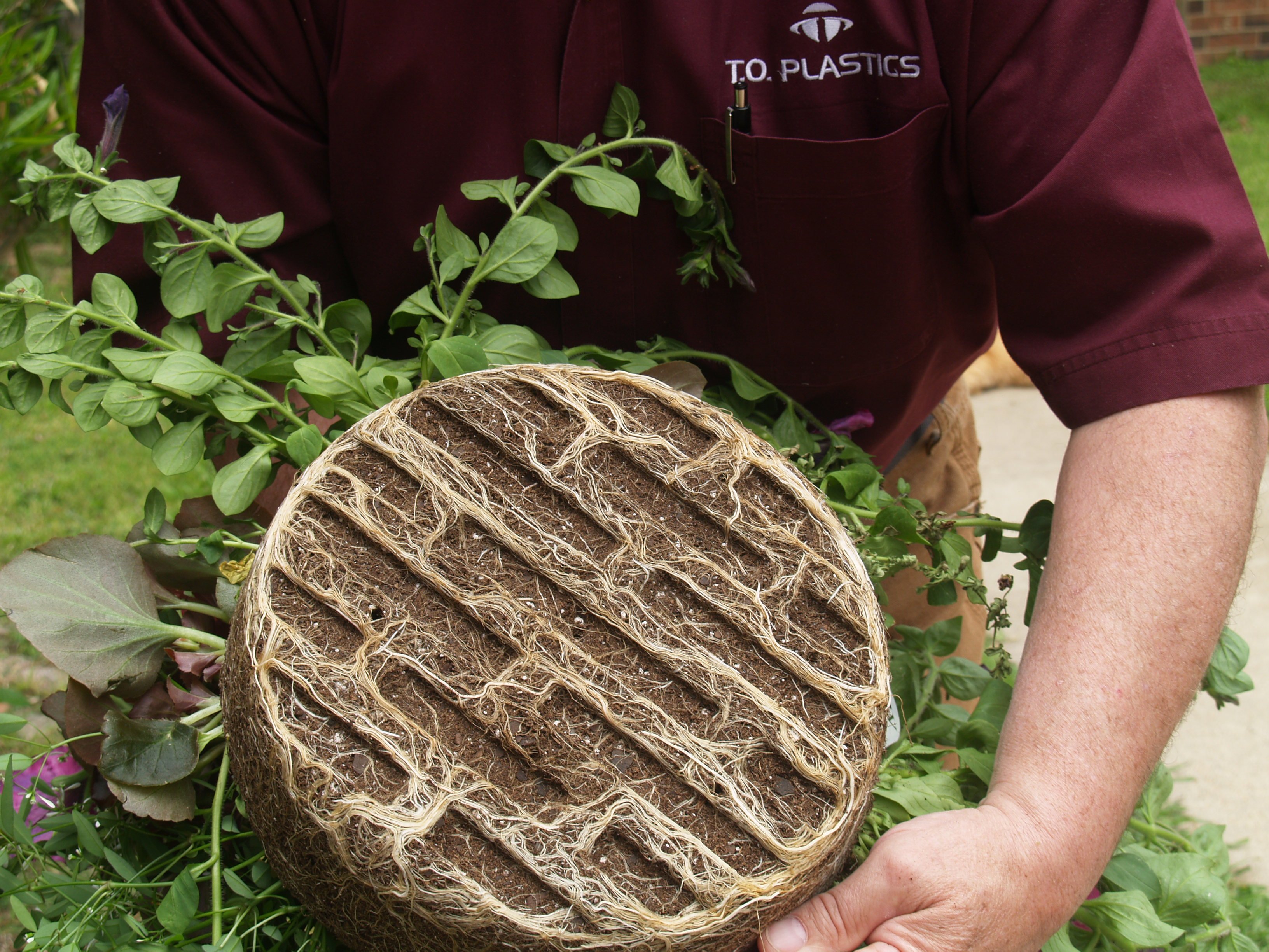 Plant Pie 4-2013 036