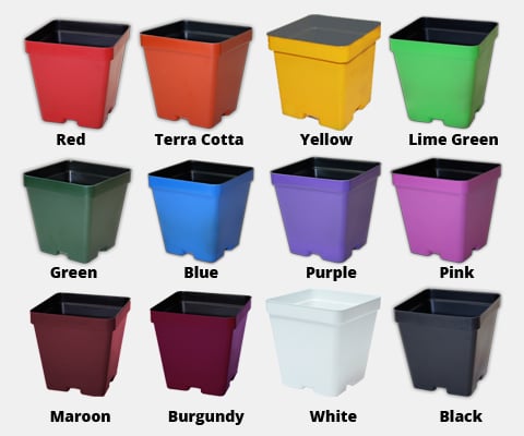 COLORED SQUARE POTS