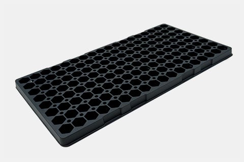 720594C - 144-Hexagon Standard Plug Trays