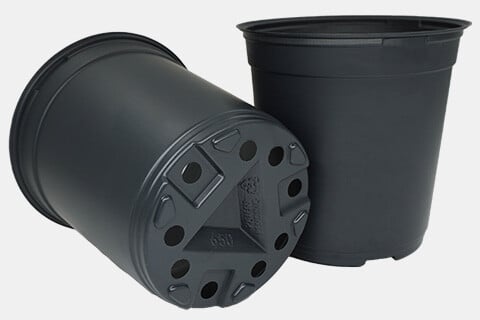 750652C - 6.5-Inch Trade Gallon Nursery Round Pots