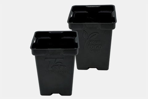 Embossed Square Pots