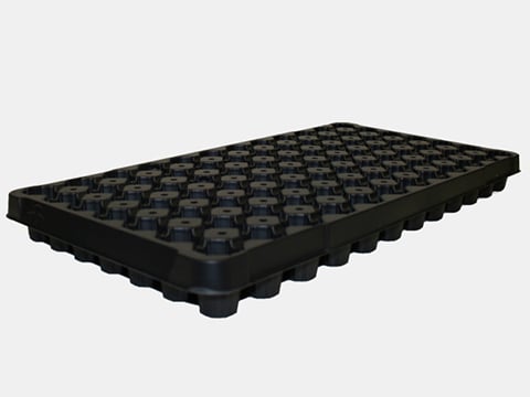 720455C - 84-Star True Plug Trays