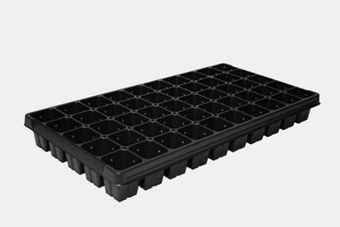 720463C - 50-Square Standard Plug Trays
