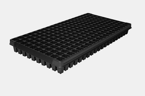 720520C - 200-Square (2.125) Standard Plug Trays