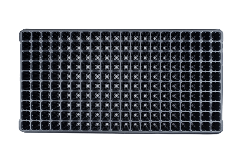 200-Square (2.125in) Standard Plug Trays