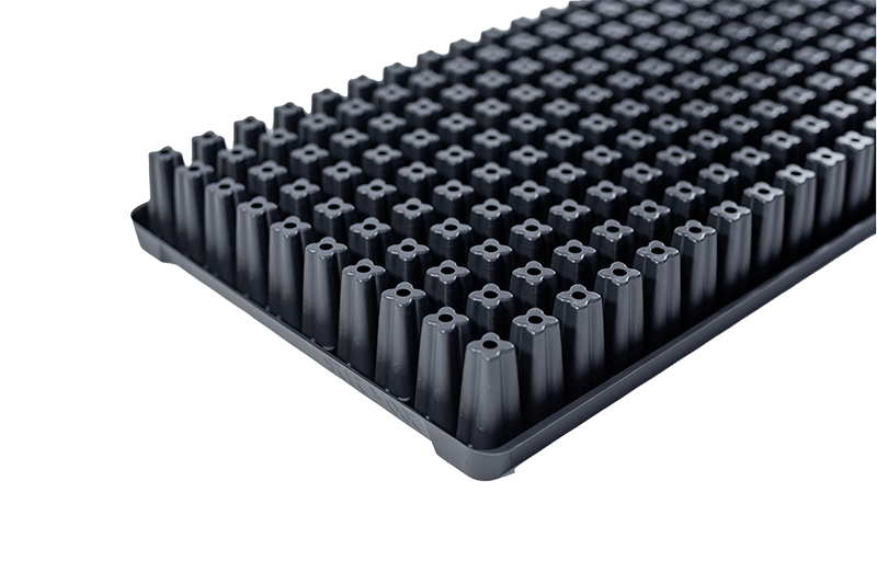 200-Square (2.125in) Standard Plug Trays