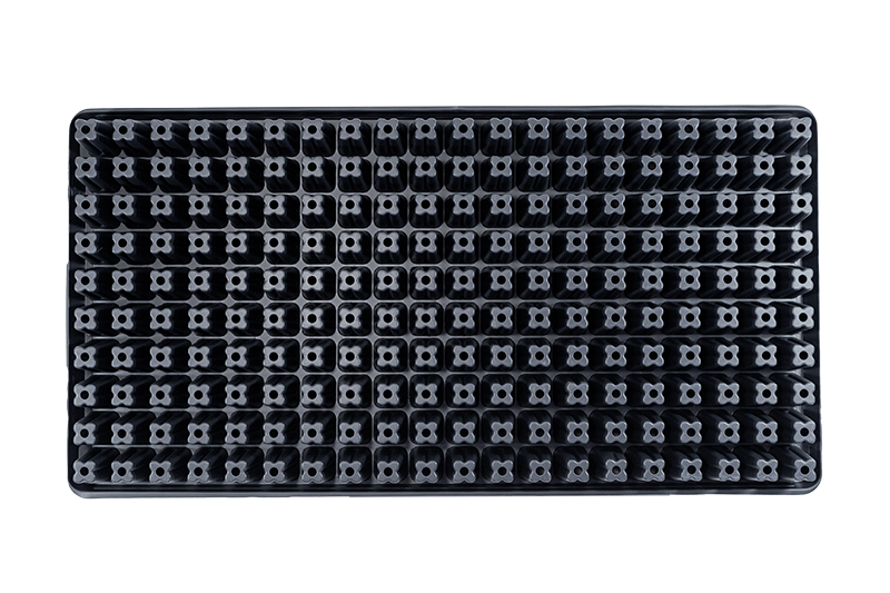 200-Square (2.125in) Standard Plug Trays