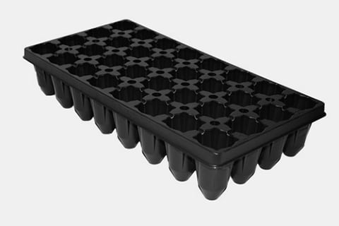 720556C - 32-Star Standard Deep Plug Trays