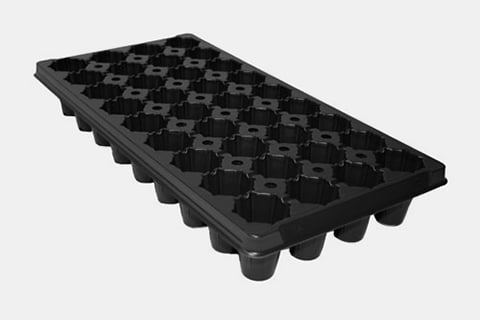 720557C - 36-Star Standard Plug Trays
