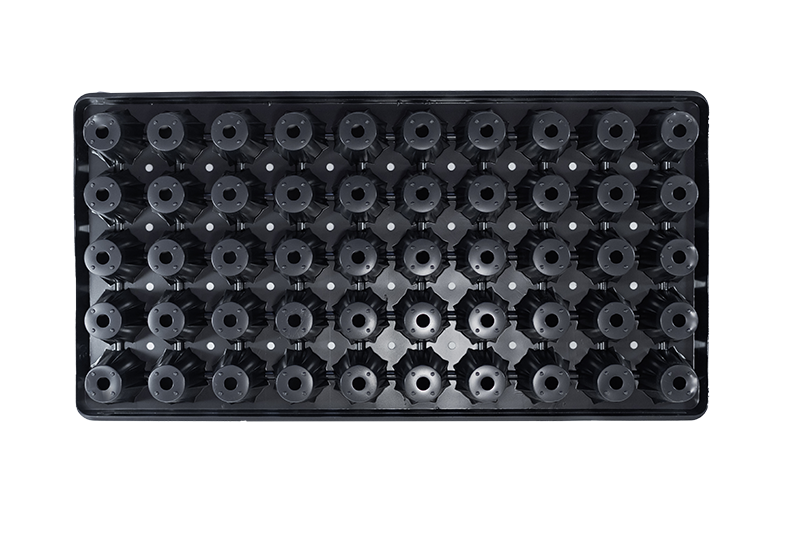 50-Star Standard Plug Trays