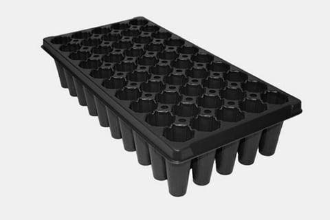720568C - 50-Star Standard Deep Plug Trays