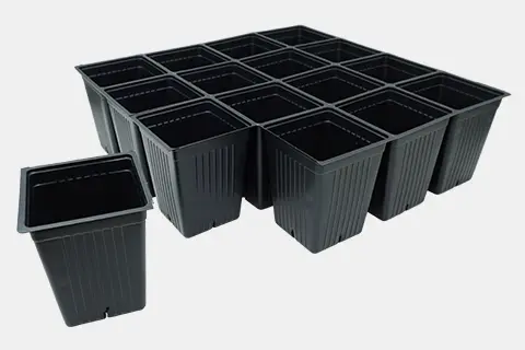 773146C - West Coast 16-Cell Deep Sheet Pots