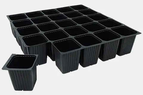 773148C - West Coast 25-Cell Sheet Pots