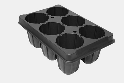 760448C - 6-Star Market Pack Plug Trays