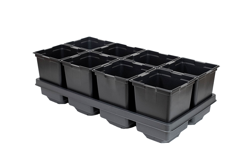8-Count Carry Trays for 5.5in Square Pots