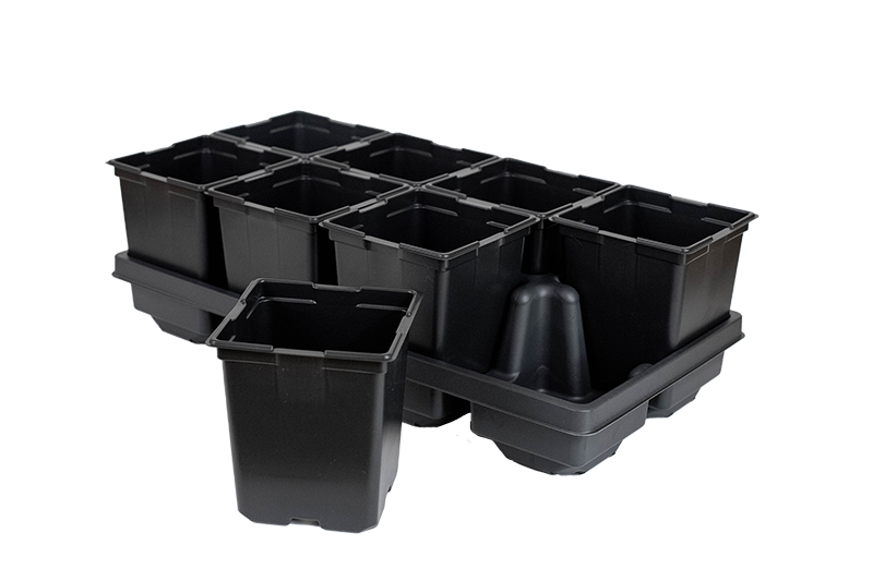 8-Count Carry Trays for 5.5in Square Pots