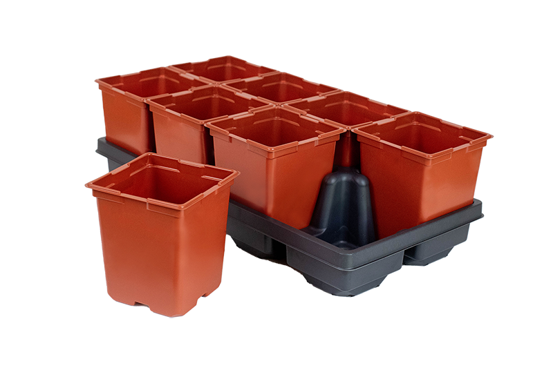 8-Count Carry Trays for 5.5in Square Pots
