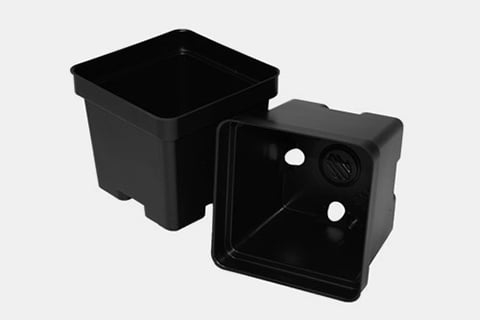 700076C - 4.5-Inch Square Traditional Pots