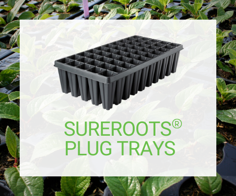 SureRoots Plug Trays