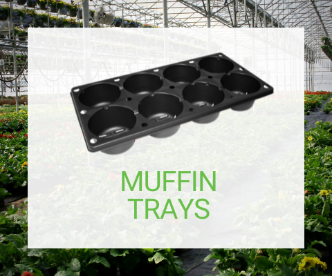 Muffin Trays