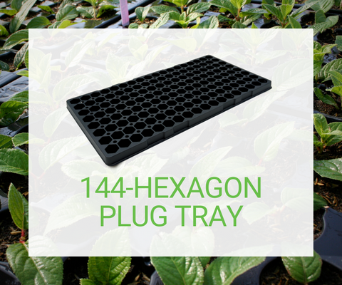 144-Hexagon Plug Tray