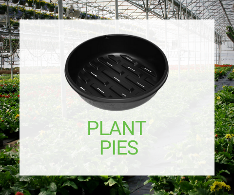 Plant Pies