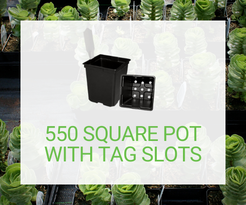2 Quart Square Pots w/Tag Slots