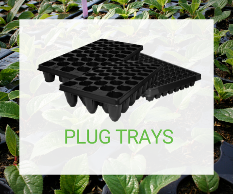 Plug Trays