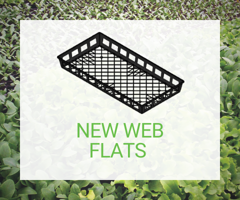 Web Flats