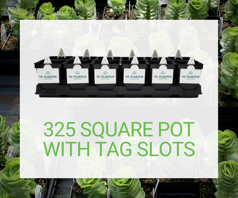1 Pint Square Pot with Tag Slots