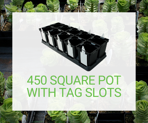1 Quart Square Pot with Tag Slots