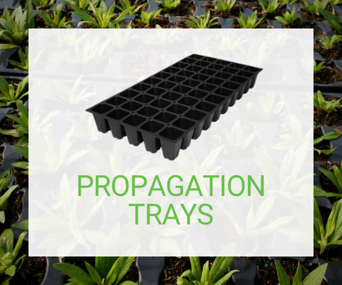 Propagation Trays