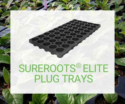 SureRoots Elite