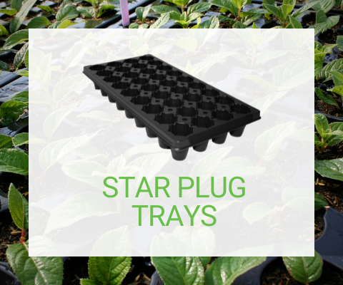 Star Plug Trays