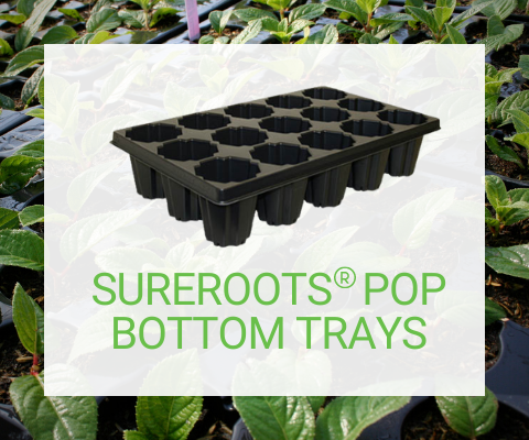 Sureroots Pop Bottom Trays
