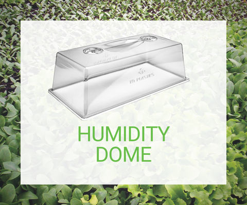 Humidity Dome