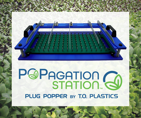 Plastic Plant Trays, #1 Wholesale Supplier