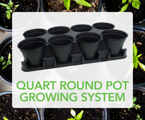 Quart Round Pot Growing System