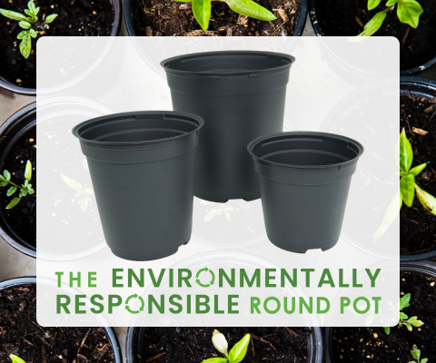 Round Pots