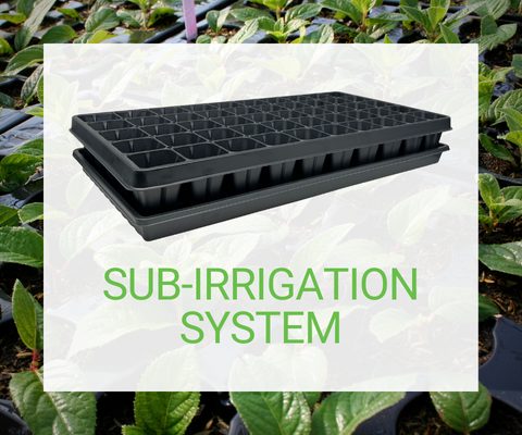 Sub-Irrigation System