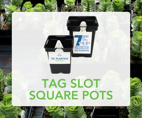 Tag Slot Square Pots