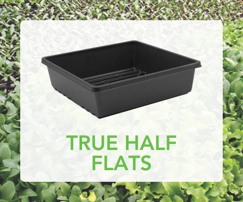 True Half Flats